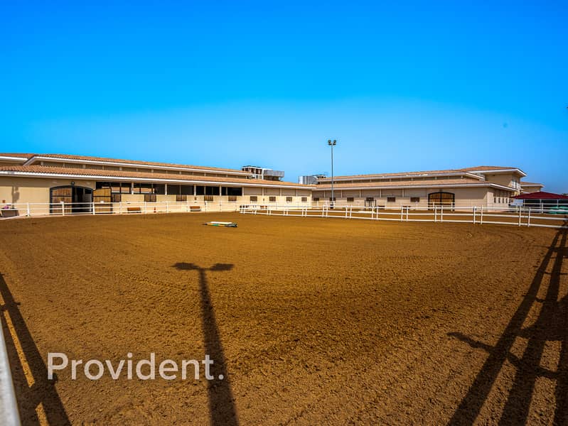 Polo View | Single Row | No Agency Fee - Image 18