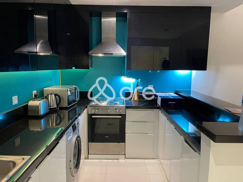 Fully Furnished I Luxury Living I Well Maintained