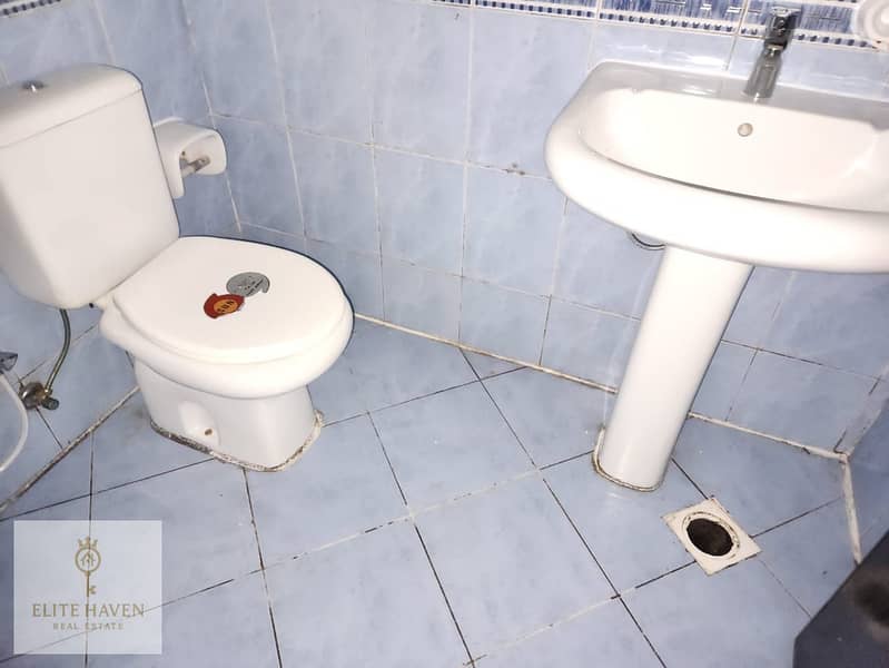 4 23596. jpg