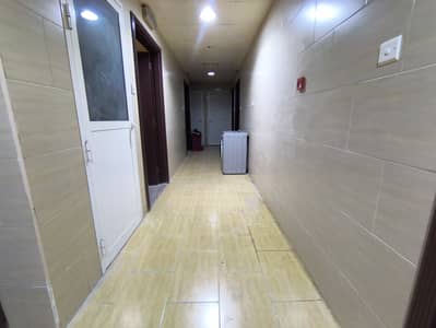 Studio for Rent in Muwaileh, Sharjah - 1000153891. jpg Studio for Rent in Muwaileh, Sharjah - 1000153891. jpg