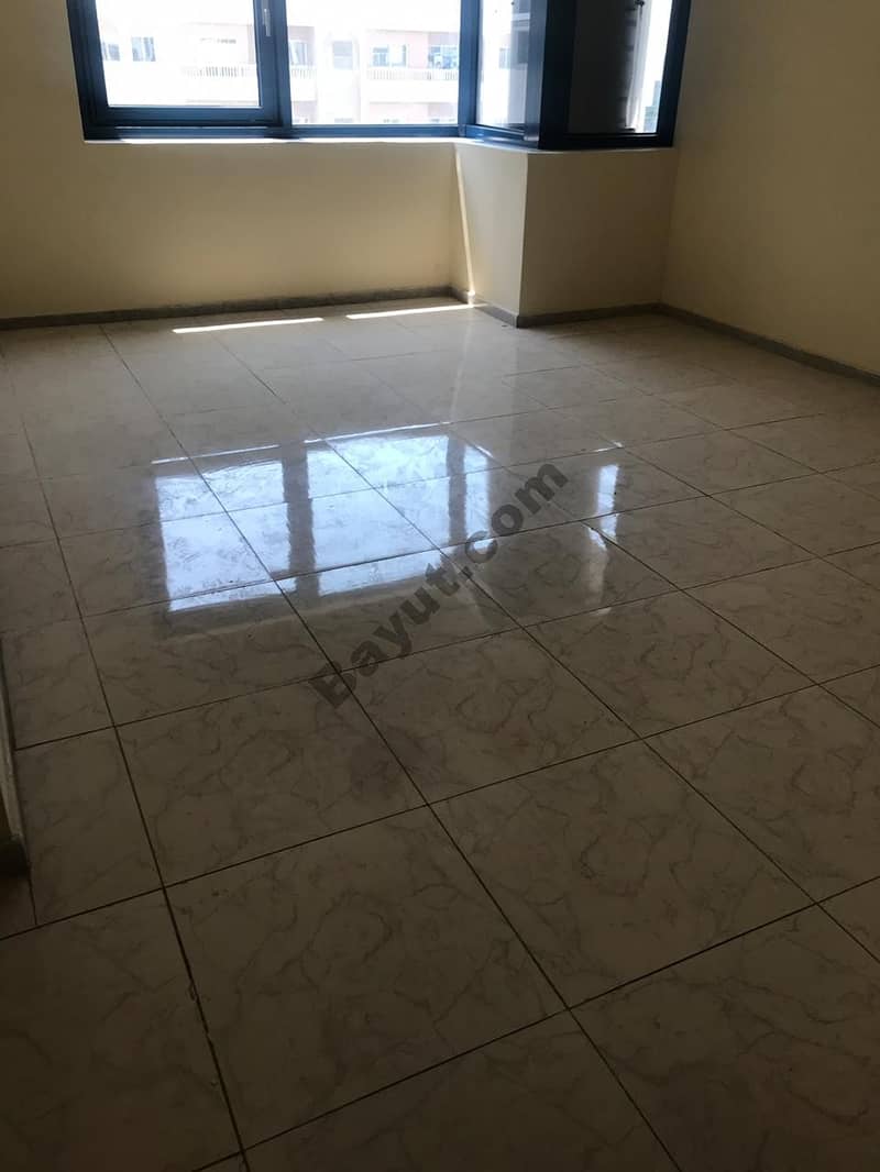 Unbeatable Deal 1 bedroom apartment with living room available