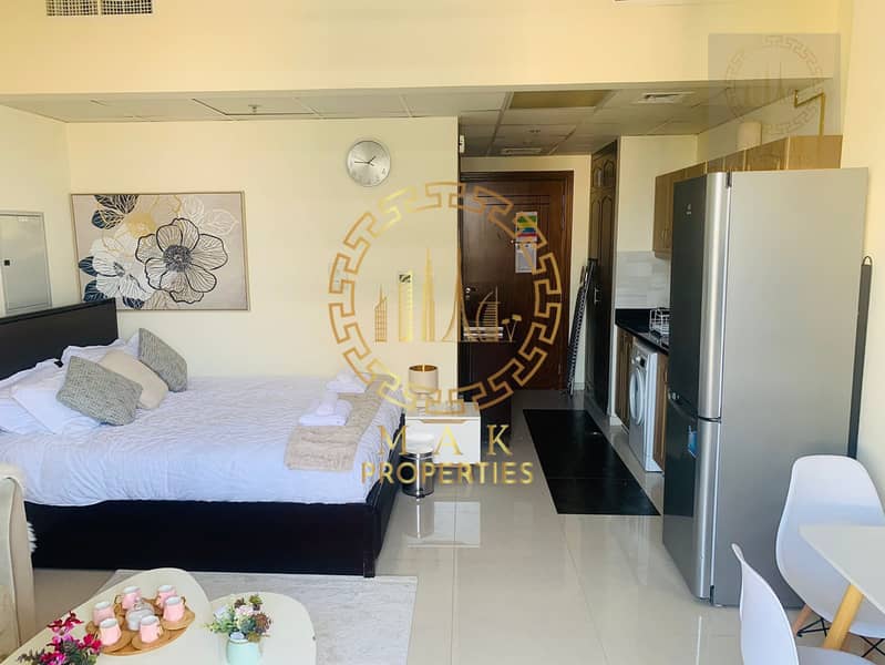 Upgraded| Fully Furnished | Studio for Rent in Elite 10