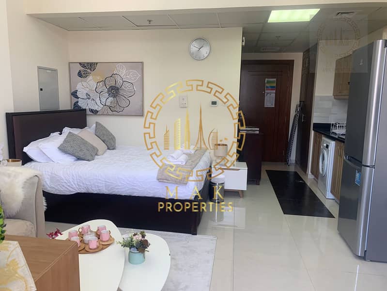 Upgraded| Fully Furnished | Studio for Rent in Elite 10