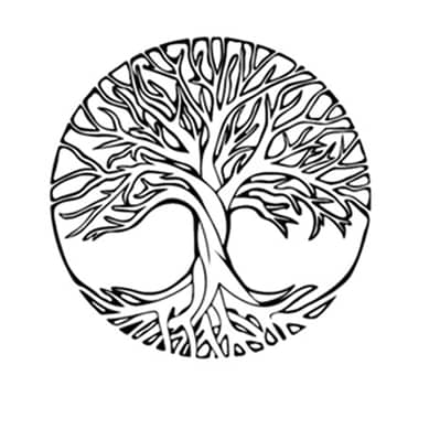 A V A V Real Estate