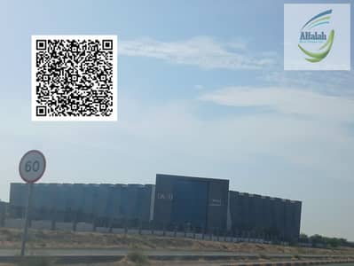 Plot for Sale in Al Salam City, Umm Al Quwain - 1000225758. jpg Plot for Sale in Al Salam City, Umm Al Quwain - 1000225758. jpg