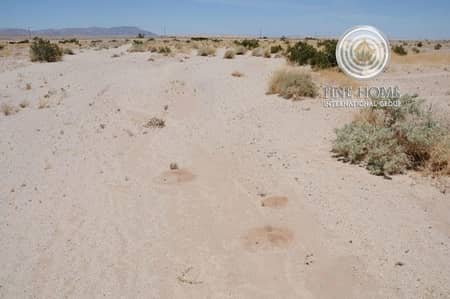 Mixed Used Land in Al Zeina Mixed Used Land in Al Zeina