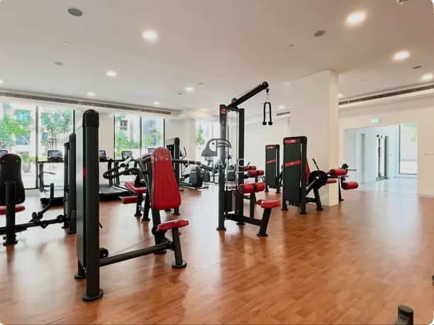 25 gym . png