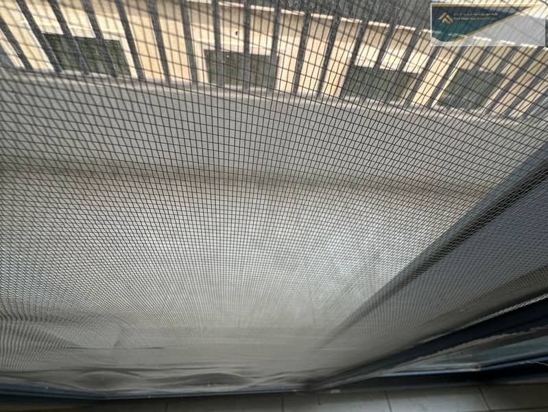 2 IMG_9834. jpeg