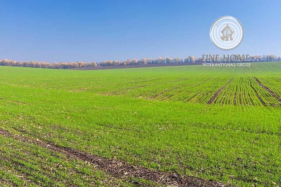 Wonderful Farm in Liwa in Western Region Wonderful Farm in Liwa in Western Region