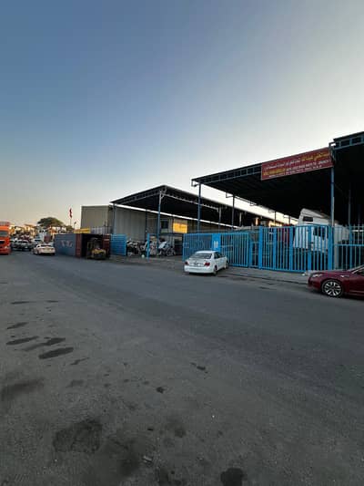 Warehouse for Sale in Industrial Area, Sharjah - WhatsApp Image 2026-01-03 at 12.27. 54 PM (1). jpeg Warehouse for Sale in Industrial Area, Sharjah - WhatsApp Image 2026-01-03 at 12.27. 54 PM (1). jpeg