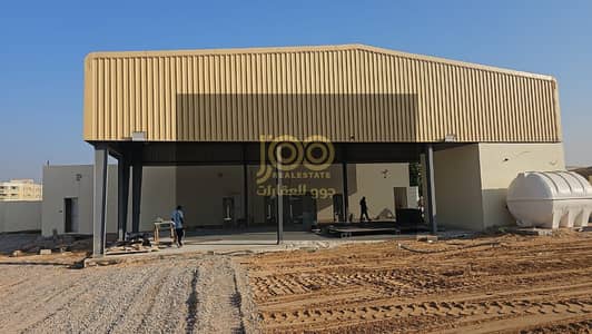 Plot for Rent in Umm Al Thuoob, Umm Al Quwain - WhatsApp Image 2025-11-24 at 5.27. 07 PM (1). jpeg