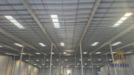 Warehouse for Rent in Umm Al Thuoob, Umm Al Quwain - WhatsApp Image 2025-12-30 at 3.26. 00 PM. jpeg Warehouse for Rent in Umm Al Thuoob, Umm Al Quwain - WhatsApp Image 2025-12-30 at 3.26. 00 PM. jpeg