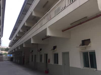 Lowest Price|Multiple Rooms available With All Facilities Lowest Price|Multiple Rooms available With All Facilities