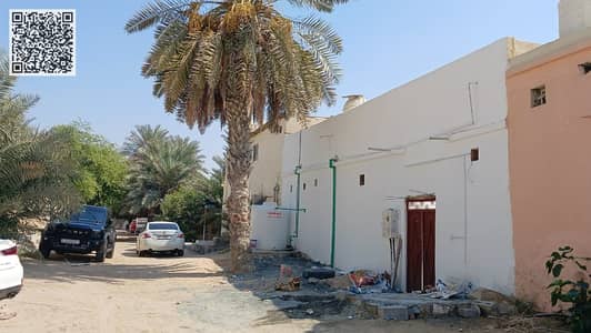 6 Schlafzimmer Villa zum zur Miete in Liwara 1, Ajman - WhatsApp Image 2025-12-06 at 05.44. 35. jpeg