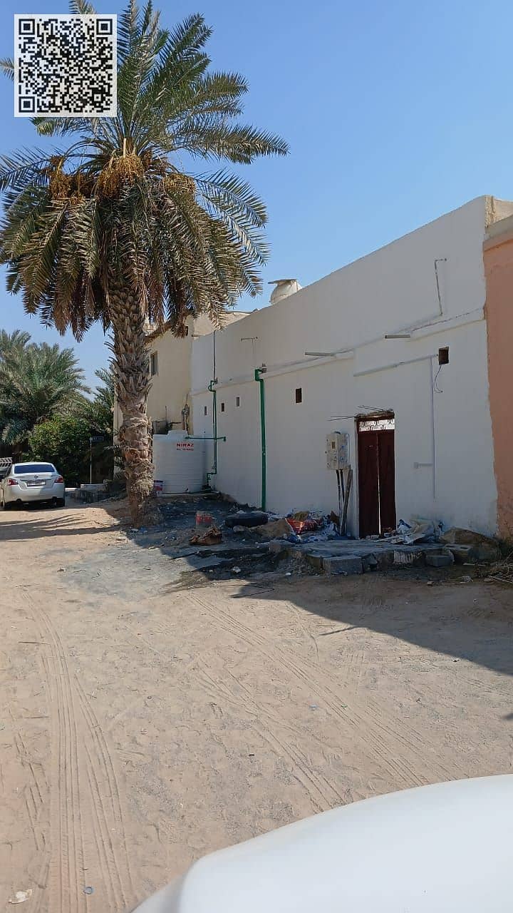 2 WhatsApp Image 2025-12-06 at 05.44. 34 (1). jpeg