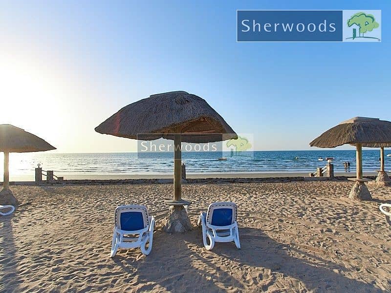 watermark (12). jpg watermark (12). jpg