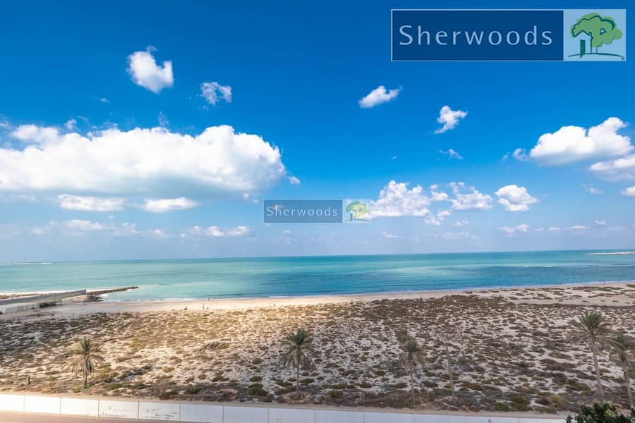 10 watermark (15). jpg