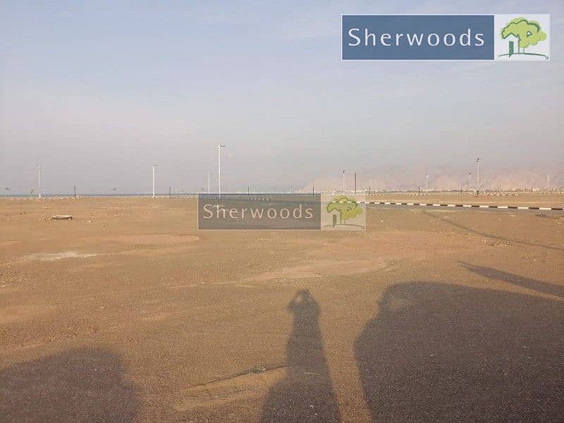 3 watermark (2). jpg