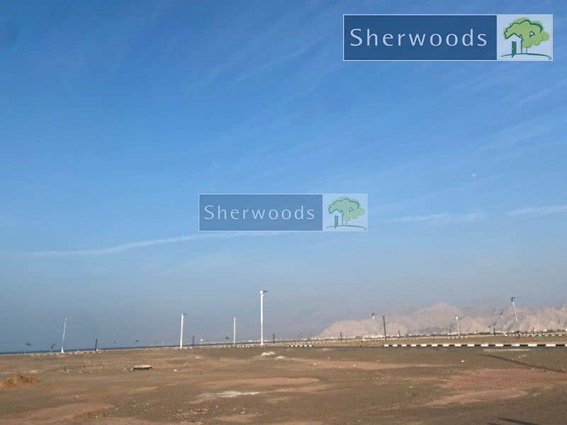 2 watermark (1). jpg