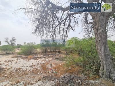 Mixed Use Land te Koop in mudfak, Ras Al Khaimah - watermark (1). jpeg