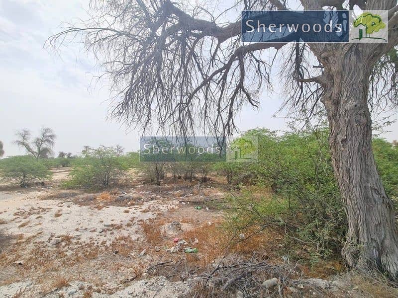 watermark (1). jpeg watermark (1). jpeg
