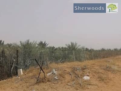 Mixed Use Land te Koop in mudfak, Ras Al Khaimah - 18_11_2025-06_30_00-3101-753aef8a008b0dd891bbf0f97a595f59. png