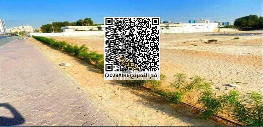 4 1ac3cb09-fe7a-47f1-b69f-b960833013b2. jpg