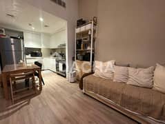 Partial Park view | Upgraded | On The Park