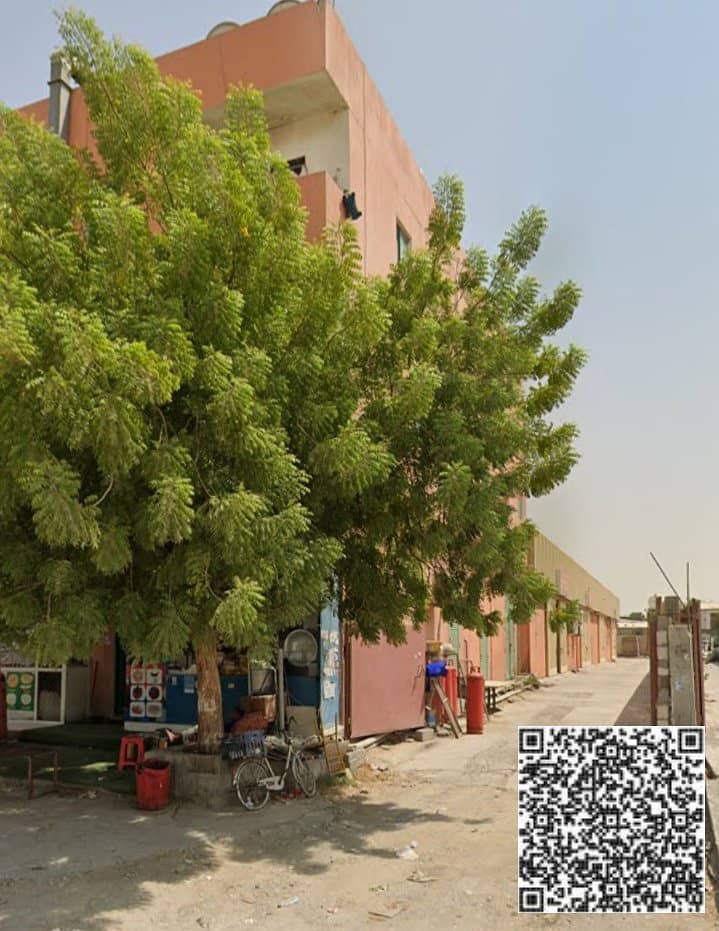 4 IMG_٢٠٢٦٠١١٥_١٤٥٥٢٦. jpg