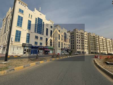 2 Schlafzimmer Wohnung zum zur Miete in Al Yasmeen, Ajman - WhatsApp Image 2026-01-15 at 1.06. 48 PM. jpeg 2 Schlafzimmer Wohnung zum zur Miete in Al Yasmeen, Ajman - WhatsApp Image 2026-01-15 at 1.06. 48 PM. jpeg