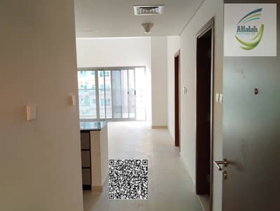 استوديو  للايجار في العامرة، عجمان - WhatsApp Image 2026-01-15 at 9.55. 07 PM. jpeg