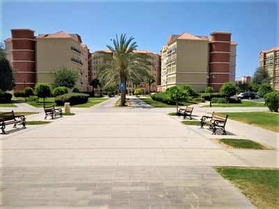 2 Bedroom Flat for Rent in Discovery Gardens, Dubai - 13 Months l Chiller Free Multiple Checks 2 Bedroom Flat for Rent in Discovery Gardens, Dubai - 13 Months l Chiller Free Multiple Checks