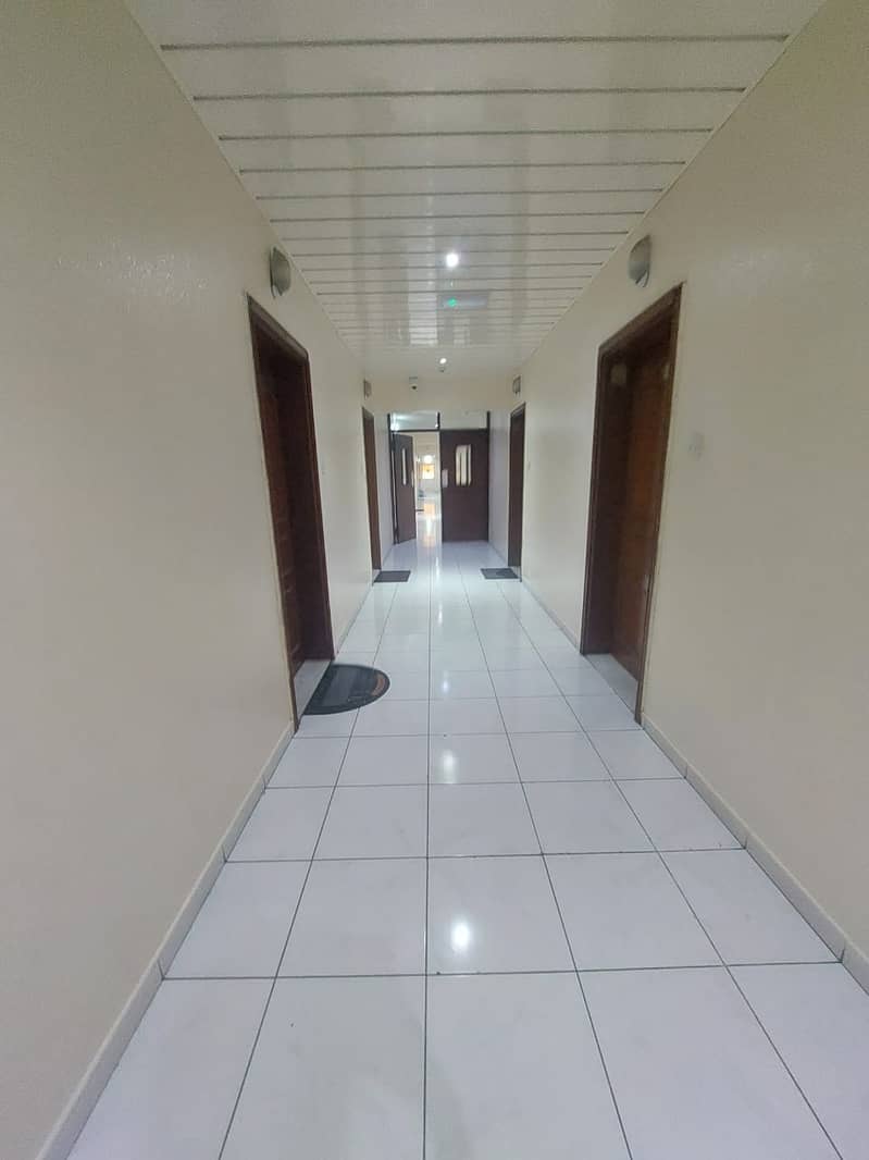 5 1000306659. jpg