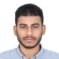 Ahmed Hassan Labib