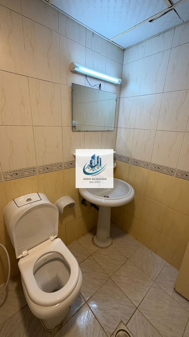 3 1000424806. jpg