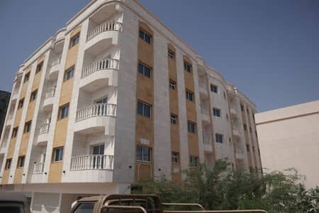 New Wonderfull building with excellent income for sale- Ajman New Wonderfull building with excellent income for sale- Ajman