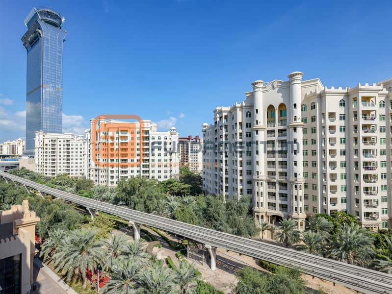27 PALM0028. JPG