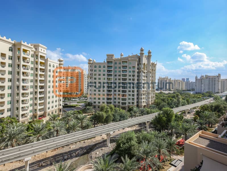 28 PALM0029. JPG