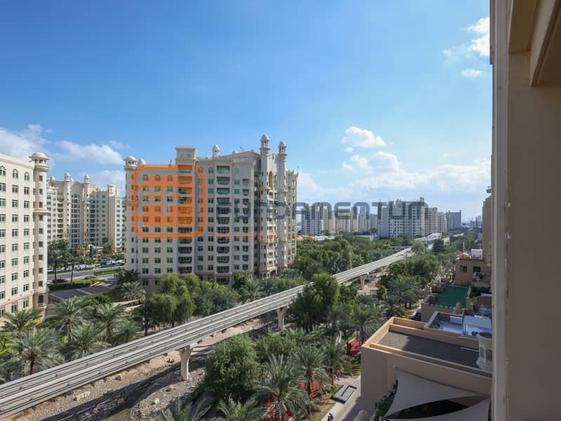 29 PALM0030. JPG