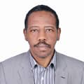 Mahmoud Mohamed