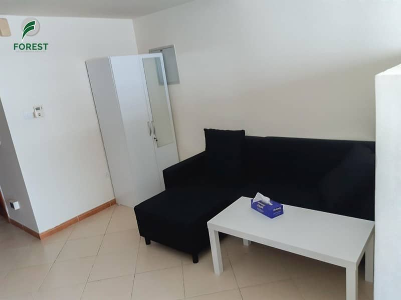 Fully Furnished Studio Apartment with Great Layout