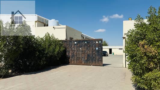 سكن عمال للايجار في النود، العین - IMG_2085. JPG سكن عمال للايجار في النود، العین - IMG_2085. JPG