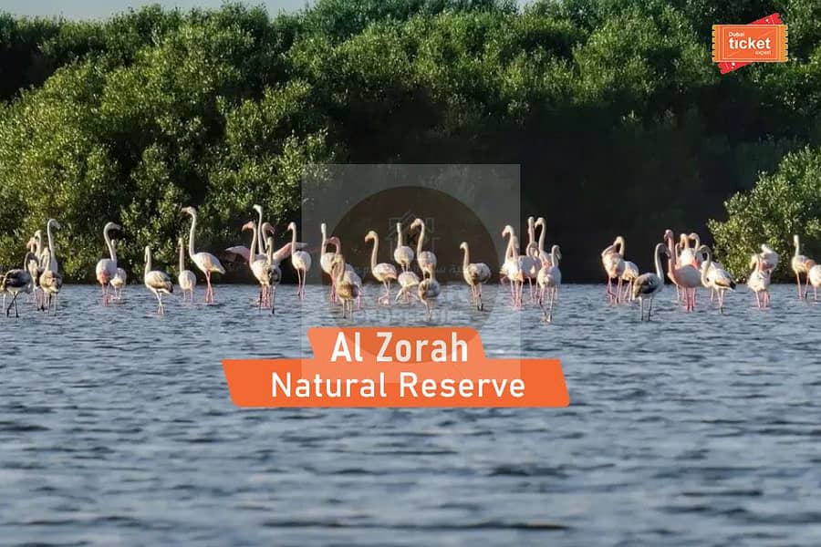 9 al-zorah-natural-reserve. jpg