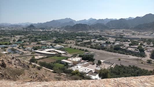Plot in vendita a Masfout, Ajman - Masfut_and_Hatta_-_Panoramic_view_from_Al_Bomah_Tower. jpg