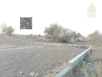 Plot for Sale in Al Manama, Ajman - WhatsApp Image 2026-01-22 at 11.32. 43 AM (1). jpeg