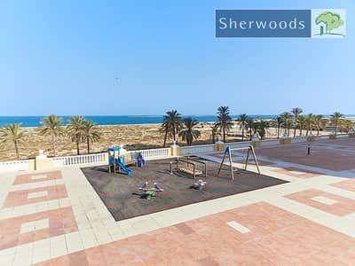 Estudio para en Venta en Al Hamra Village, Ras Al Khaimah - 26_01_2026-12_21_56-3101-f1c7c2d530fb60e75cb8cdc62f0388df. jpeg Estudio para en Venta en Al Hamra Village, Ras Al Khaimah - 26_01_2026-12_21_56-3101-f1c7c2d530fb60e75cb8cdc62f0388df. jpeg