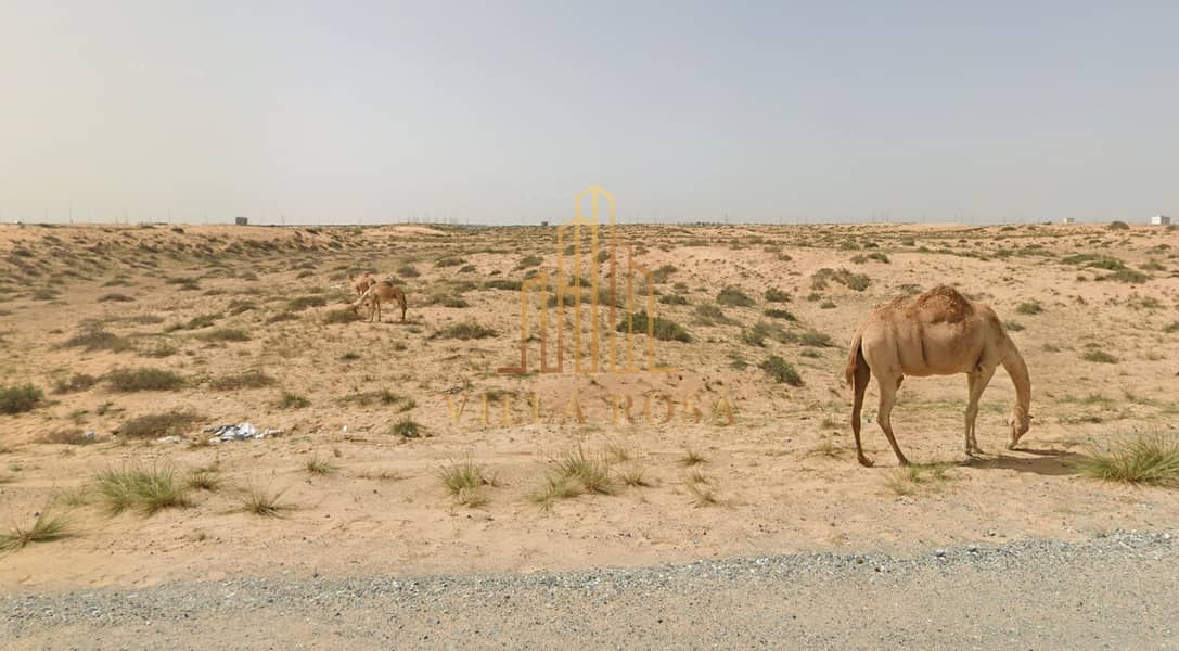 4 لقطة الشاشة 2026-01-27 في 2.49. 51 م. png