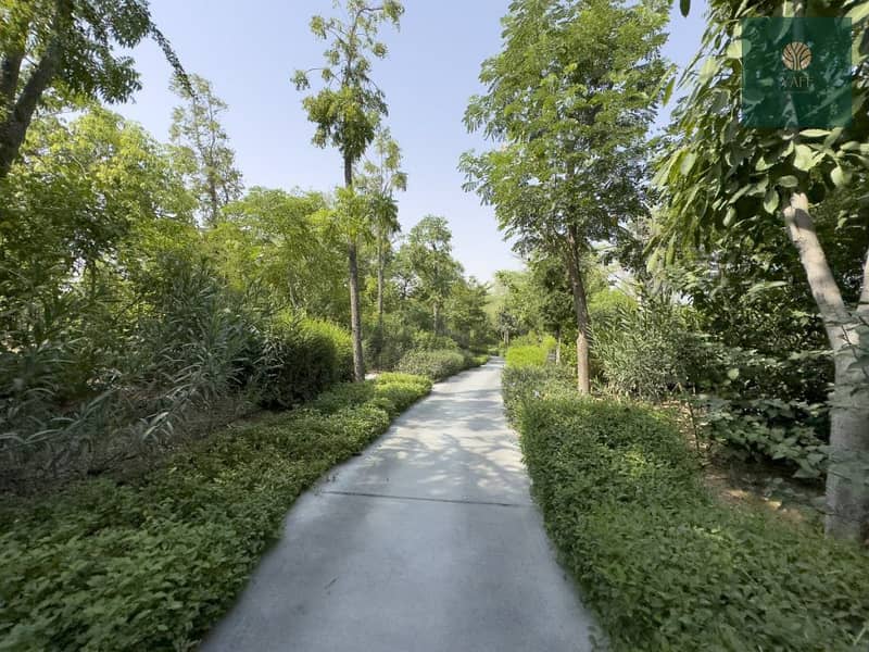 10 A-walkway-at-Masaar-1024x768. jpg
