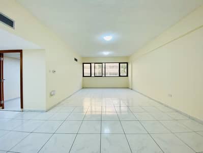 2 Bedroom Apartment for Rent in Bur Dubai, Dubai - IMG_0491. jpg 2 Bedroom Apartment for Rent in Bur Dubai, Dubai - IMG_0491. jpg