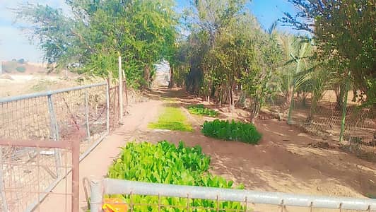 Mixed Use Land for Sale in Falaj Al Mualla, Umm Al Quwain - 4. jpeg